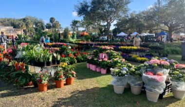 Winter Park Saturday farmers’ market to move to Seven Oaks Park in June
