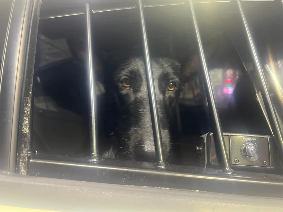 Credit: Florida Highway Patrol