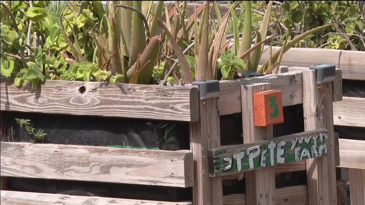 New urban agriculture program