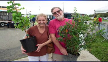 Miami-Dade County’s ‘Adopt-a-Tree’ program gives homeowners trees through planting project - WSVN 7News | Miami News, Weather, Sports