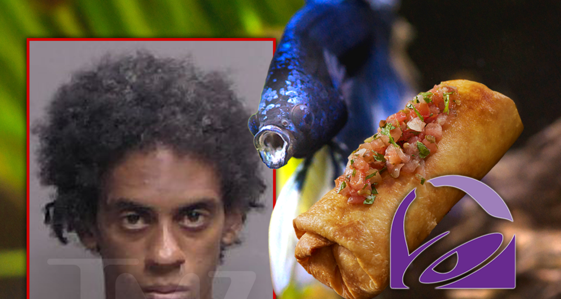 Cops Called On Florida Man Who Allegedly Had His 'Chimichanga' Out at Taco Bell