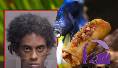 Cops Called On Florida Man Who Allegedly Had His 'Chimichanga' Out at Taco Bell