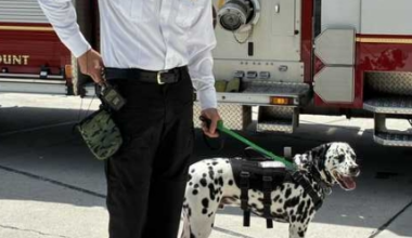 Martin County Fire Rescue gets therapy dog to help with stress