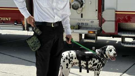 Martin County Fire Rescue gets therapy dog to help with stress