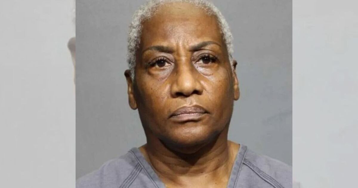 Woman, 64, accused of intentionally running over ducklings for making - US News - News