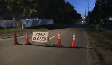 Portion of N. Boulevard in Tampa shut down after tree falls in roadway