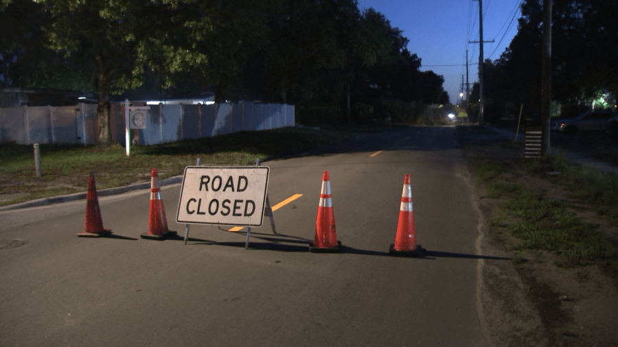 Portion of N. Boulevard in Tampa shut down after tree falls in roadway