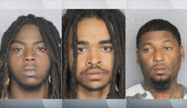 Police: Homestead armed trio faces charges after beating up robbery victim in Davie