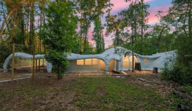 Foam Dome Home With ‘Not a Single Straight Line’ Hits the Market in Florida for $249K: ‘A Genuine Original’