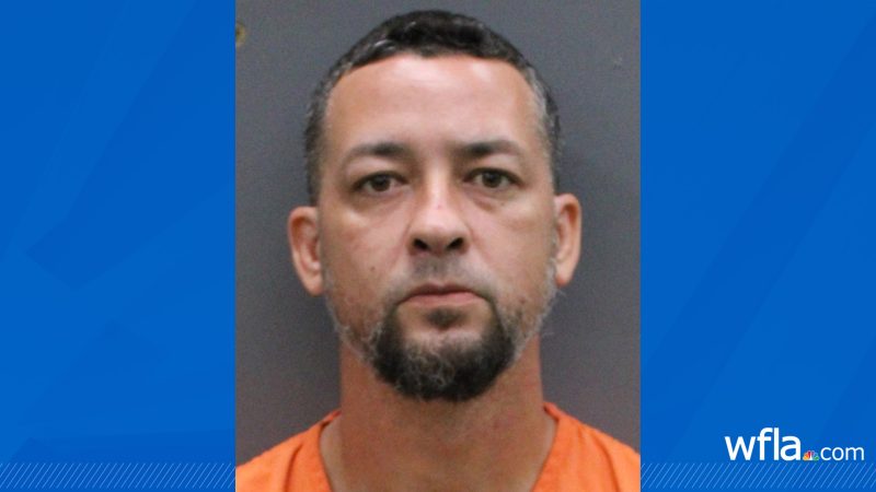 ‘Deeply disturbing’: Tampa man accused of killing family member’s Chihuahua