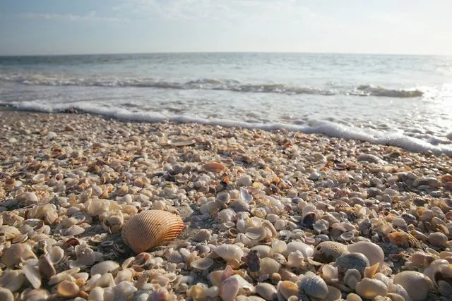 Credit: Visit Florida
