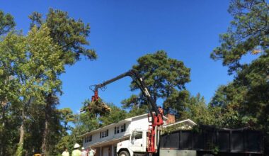 Fort Lauderdale Landscaper Killed After Contacting Power Line | NewsRadio WFLA