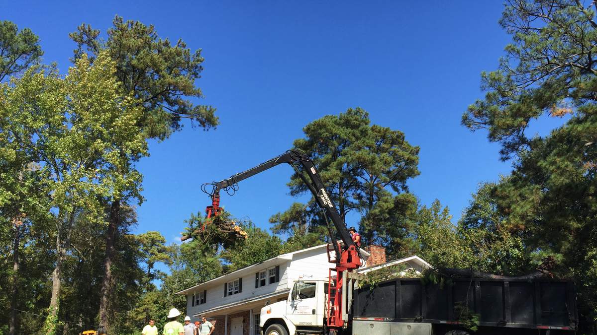 Fort Lauderdale Landscaper Killed After Contacting Power Line | NewsRadio WFLA