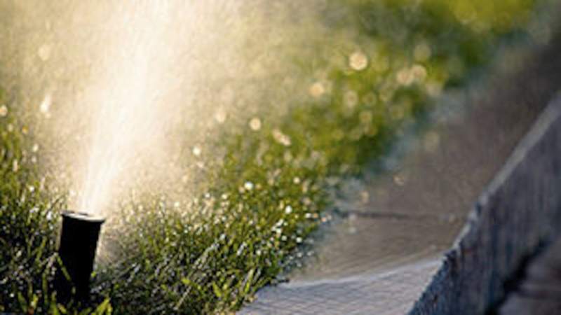 Tampa Bay is in a drought. So why are lawn sprinklers still on?