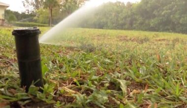 Cape Coral eases watering restrictions as aquifer levels improve | Lee County