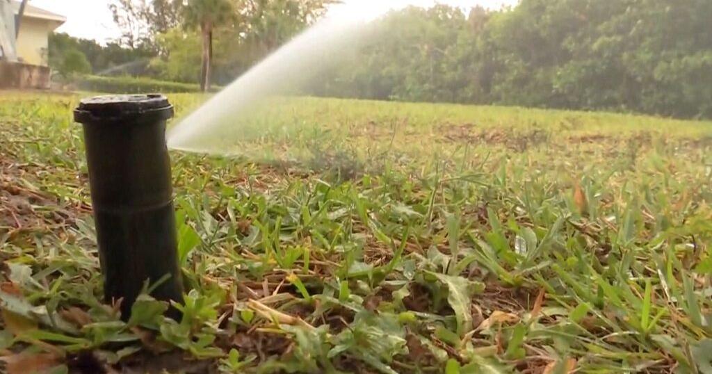 Cape Coral eases watering restrictions as aquifer levels improve | Lee County