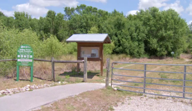 Cape Coral Yellow Fever Creek Preserve parking lot closes for repairs | Lee County