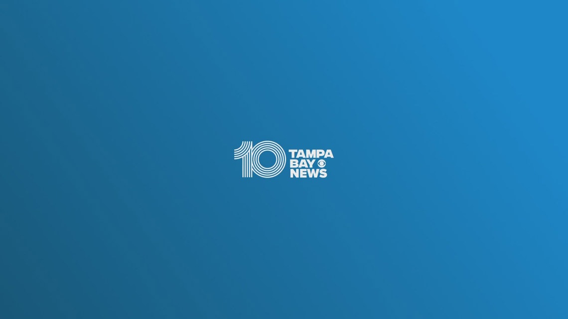 10 Tampa Bay News at 8:00 am