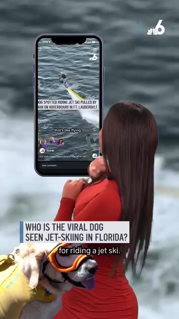 The viral dog seen jet-skiing in Fort Lauderdale was not a one-time thing. This golden retriever has gained traction on social media for her thrill-seeking rides with no harness and her owner says that jet-ski "cannot go fast enough for her." ⁠
#jetski #dog #florida #fortlauderdale