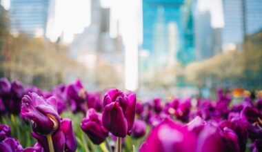 Miami Airport Handles Millions of Flowers Ahead of Mother’s Day | NewsRadio WIOD