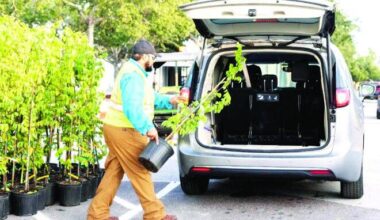 Port St. Lucie celebrates Tree City honor with 700-tree giveaway | St. Lucie County