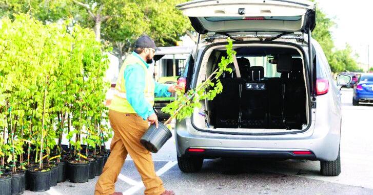 Port St. Lucie celebrates Tree City honor with 700-tree giveaway | St. Lucie County