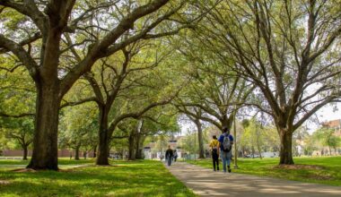 WATCH: Florida drought worsens seasonal allergy symptoms | News