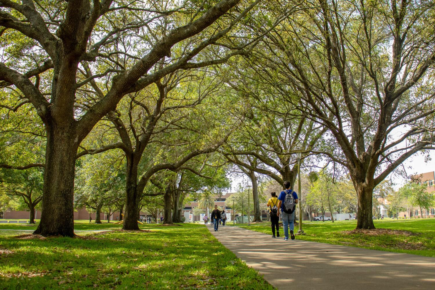 WATCH: Florida drought worsens seasonal allergy symptoms | News