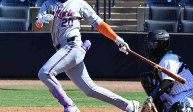 Tarpons sweep Mets in doubleheader, 7-6 and 7-4 | Sports