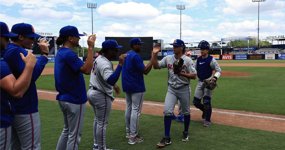 Mets come back from down 4, slip by Tarpons 7-6 | Sports