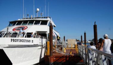Ferry service between Tampa and St. Pete to return, 7 days a week | St. Petersburg