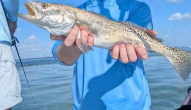 The Tampa Bay Fishin’ Report: Spanish mackerel bite is on | Sports