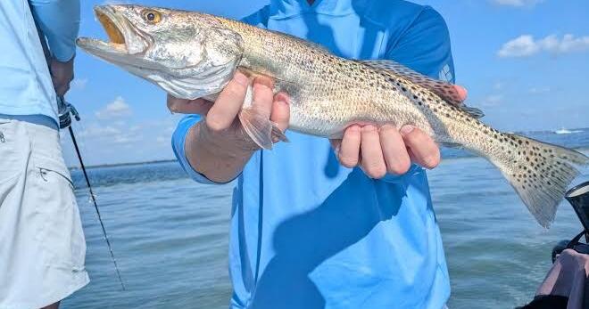 The Tampa Bay Fishin’ Report: Spanish mackerel bite is on | Sports