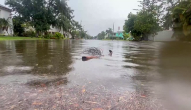 Charlotte County awarded $7.4M for future storm protection and safe rooms | Charlotte County