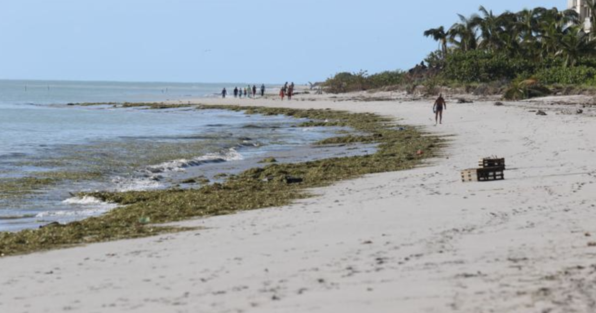 Sunny and hot Thursday on Key Biscayne | Key Biscayne