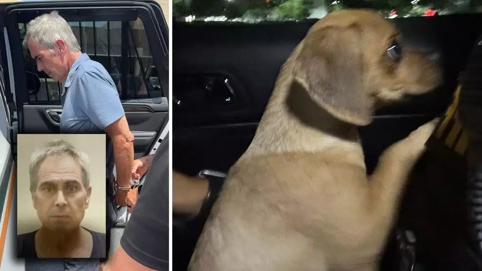 Martin County Man Arrested After Puppy Is Exposed To Cocaine | NewsRadio WIOD