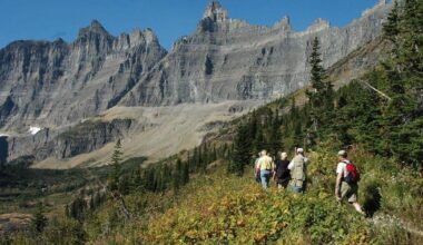 Missing hiker found dead of suspected bear attack in iconic national park