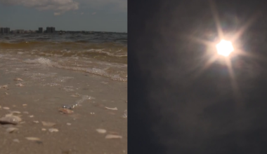 Beat the heat and hydrate as Florida temperatures rise | Lee County