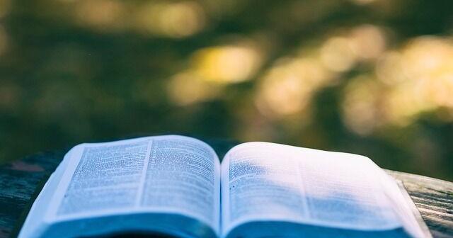 Tap into free adult programs through St. Lucie County libraries | St. Lucie County