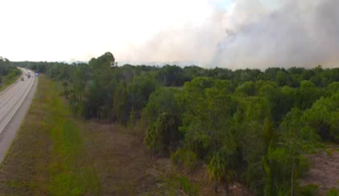10-acre brush fire burns along I-75 in Charlotte County, 20% contained | Charlotte County