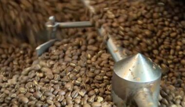 Grocery prices surge: Ground beef, tomatoes, coffee see steepest increases