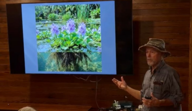 Gainesville conservationists hear expert on Florida’s water history during ‘Perspectives in the Park’