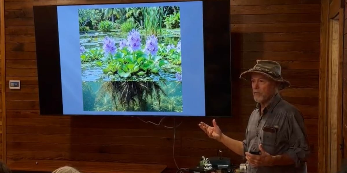 Gainesville conservationists hear expert on Florida’s water history during ‘Perspectives in the Park’
