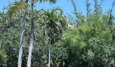 Warm Monday on Key Biscayne | Key Biscayne