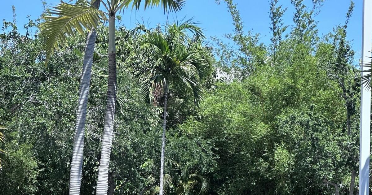 Warm Monday on Key Biscayne | Key Biscayne