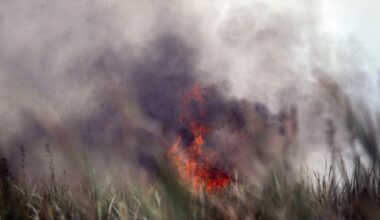 Everglades Fire Crisis: 4,800+ Acres Scorch Broward-Miami Line | NewsRadio WIOD