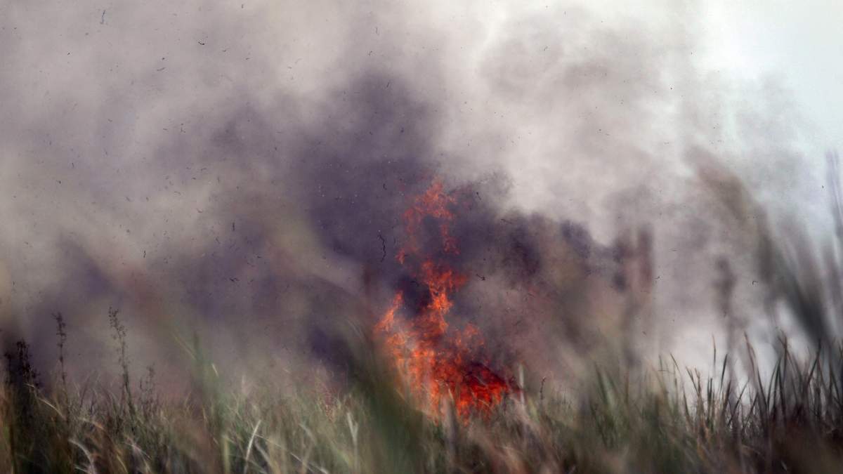 Everglades Fire Crisis: 4,800+ Acres Scorch Broward-Miami Line | NewsRadio WIOD
