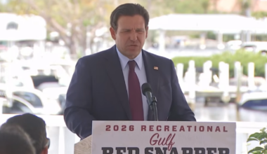 DeSantis announces 140-day long recreational Gulf red snapper season | Lee County