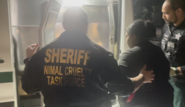 21-year-old woman accused of starving puppy to death | Lee County