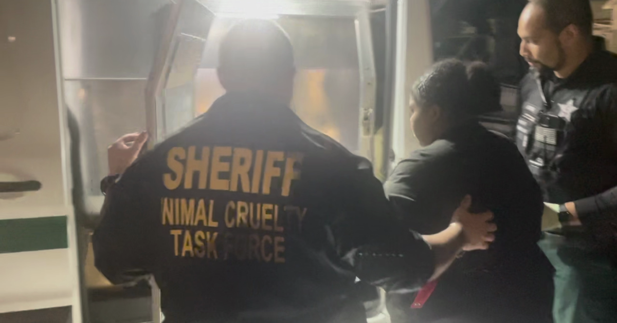21-year-old woman accused of starving puppy to death | Lee County